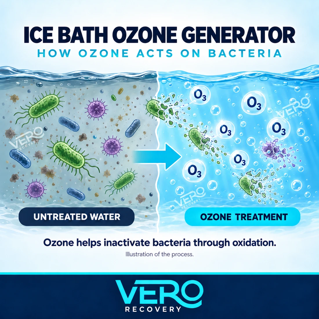 Diagram showing how ozone acts on bacteria in ice bath water